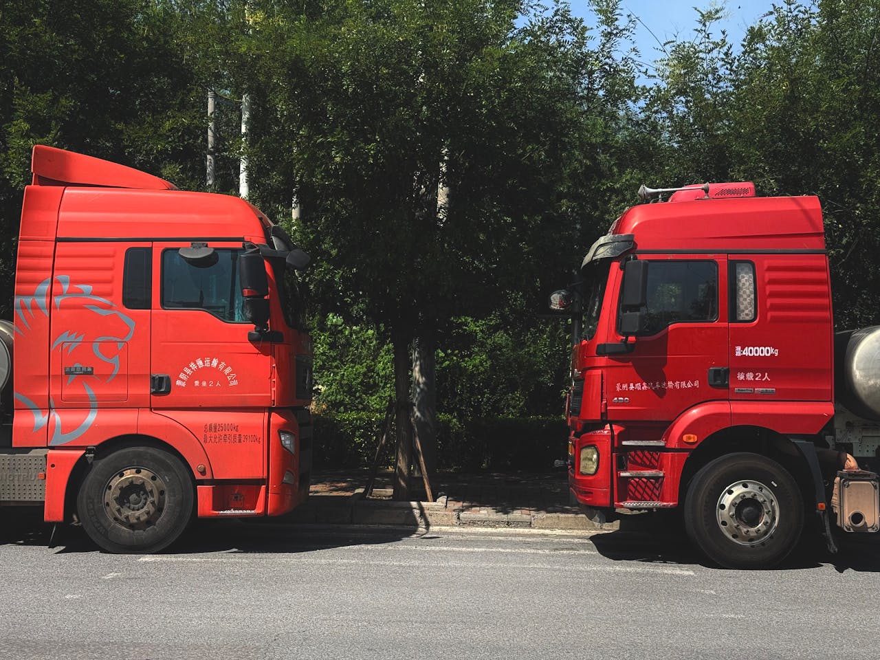 Two red trucks facing each other on a road surrounded by trees. Sunny day outdoors.